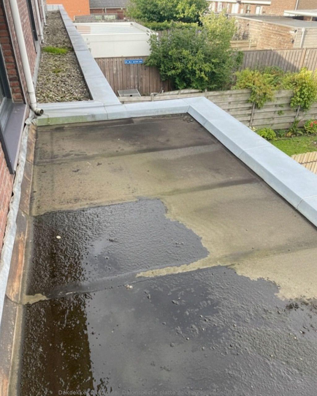 Dakinspectie Platte Daken Zeewolde