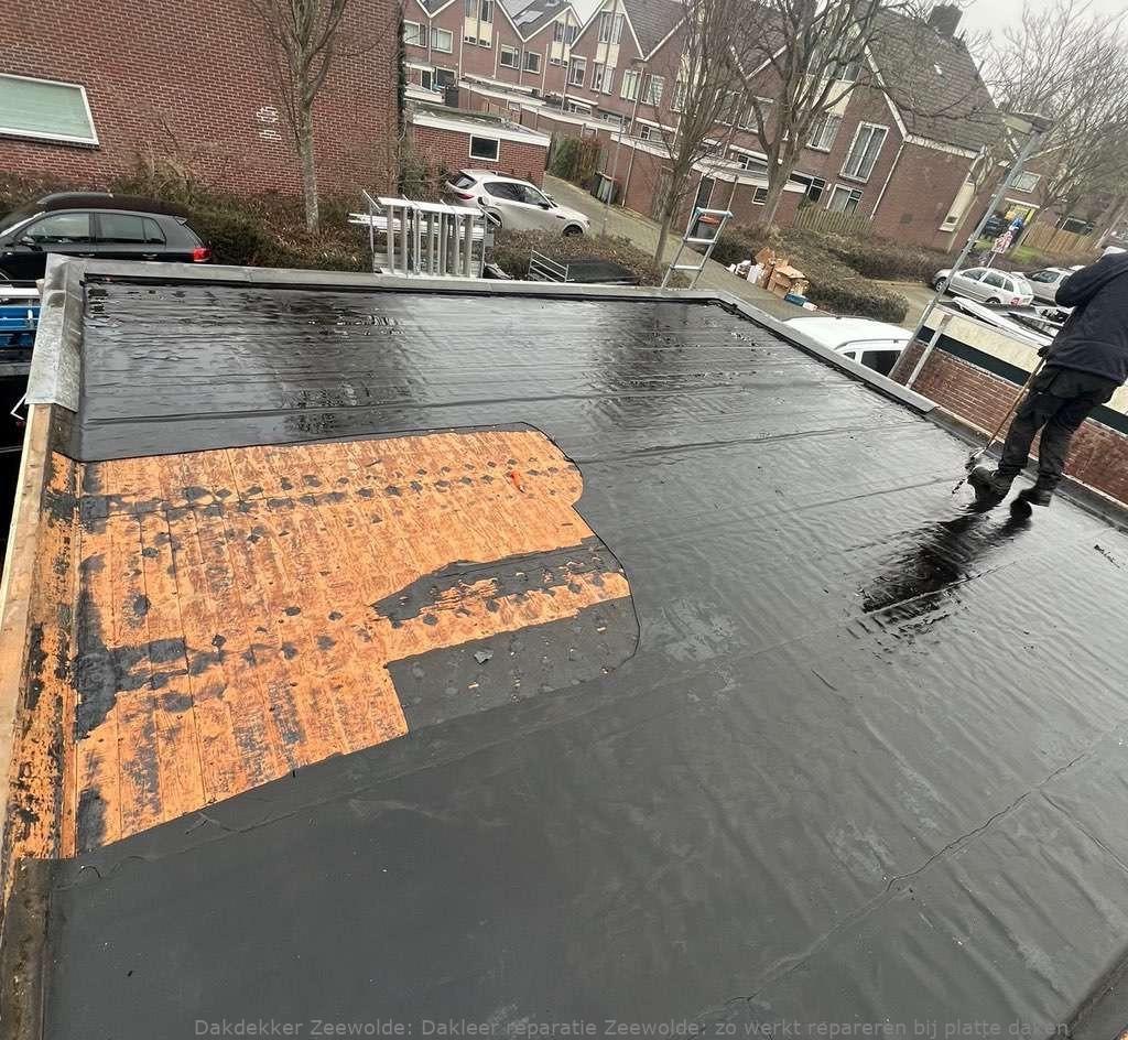 Dakleer Reparatie Zeewolde
