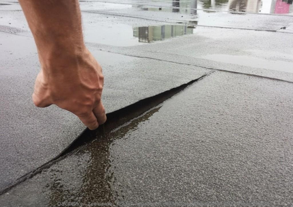 Kosten Repareren Daklekkage Zeewolde