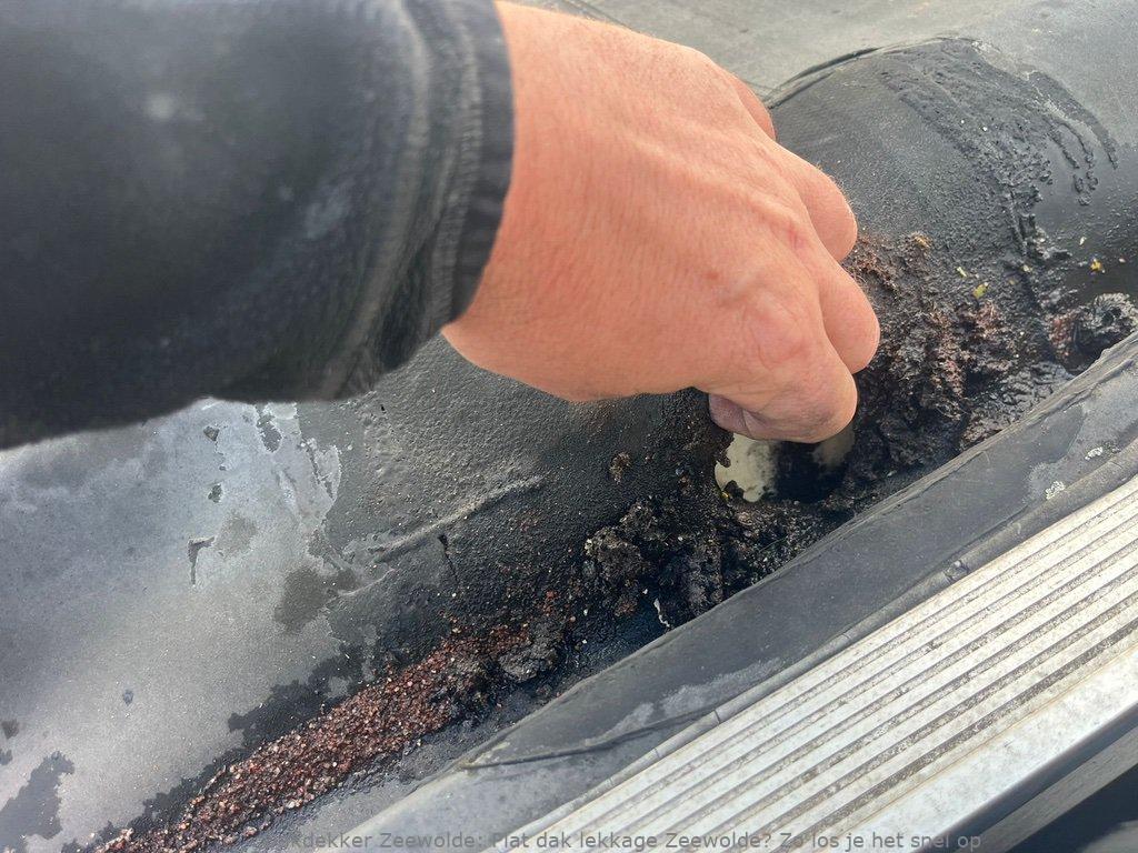 Lekkage Plat Dak Zeewolde 1