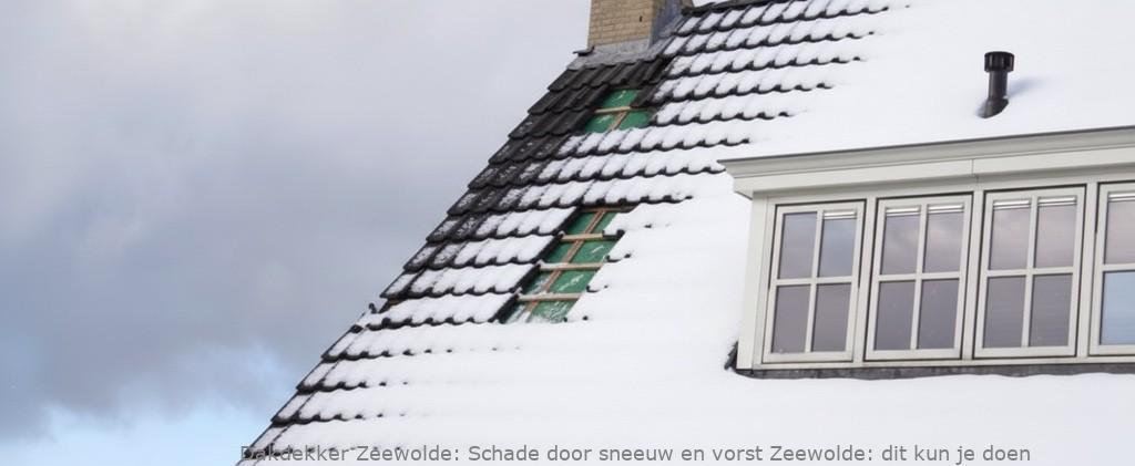 Schade Door Sneeuw En Vorst Zeewolde
